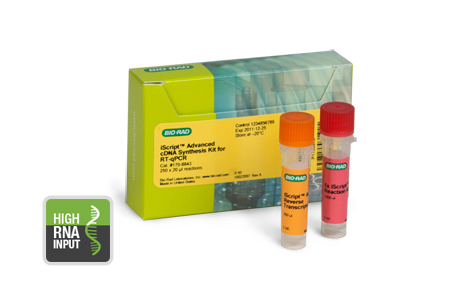  iScript Advanced cDNA Synthesis Kit for RT-qPCR